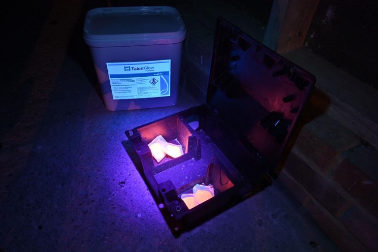 Talon® Glow in bait box