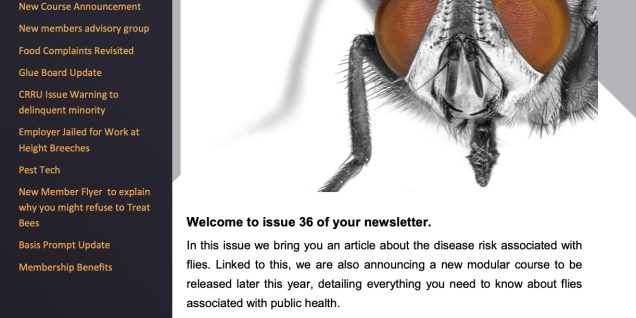 Issue 36 - September 2022 - NPTA