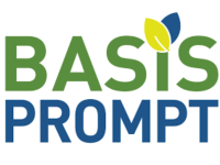 Basis Prompt Basis Prompt