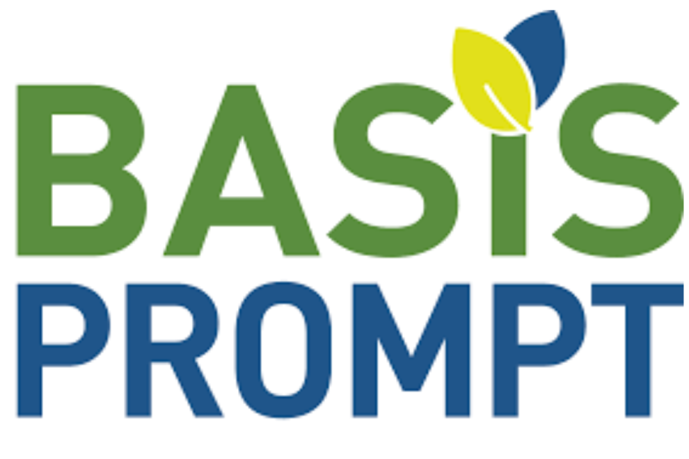 Basis Prompt