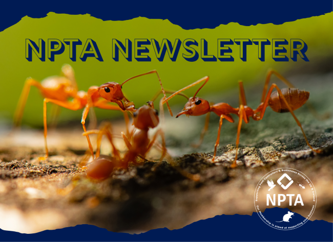 NPTA Newsletter-2