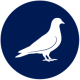 Website Buttons-09