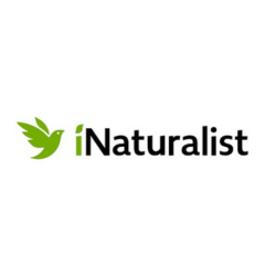 iNaturalist iNaturalist