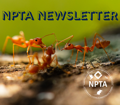 Feature Images-2 Feature Images-2