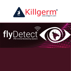 WHIIT Product Ads Feature Image-01