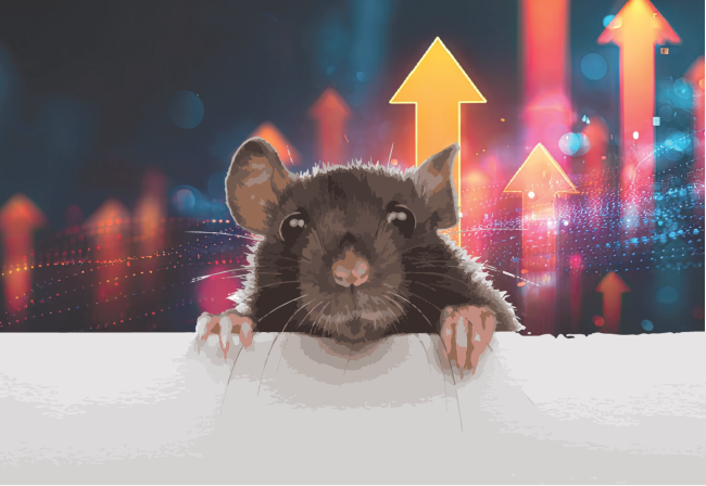 Newsletter Feature Image-10