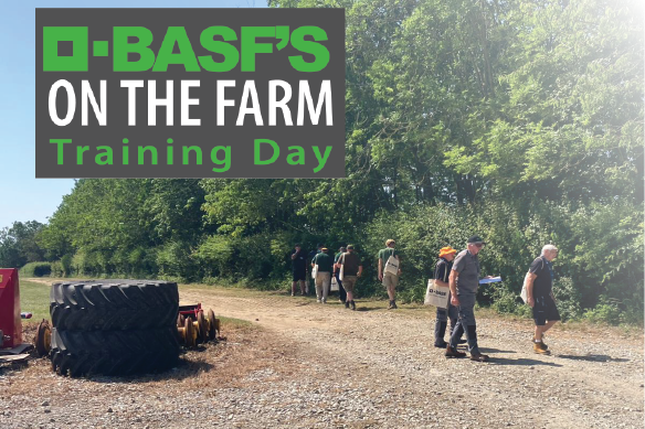BASF’s On The Farm (Small)