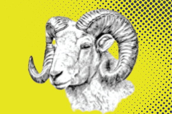 COSHH & RAMS