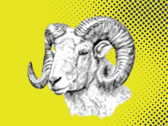 COSHH & RAMS