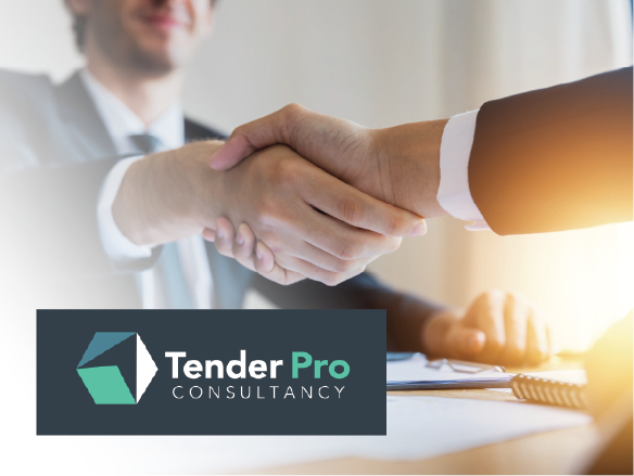 TenderPro Consultancy (Small)
