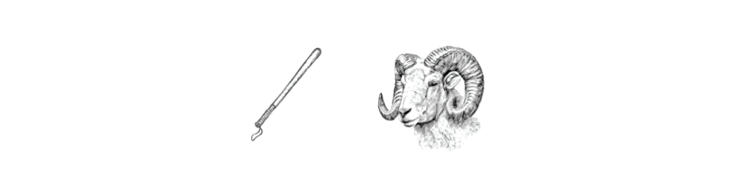 Website Header Image (Desktop)-67
