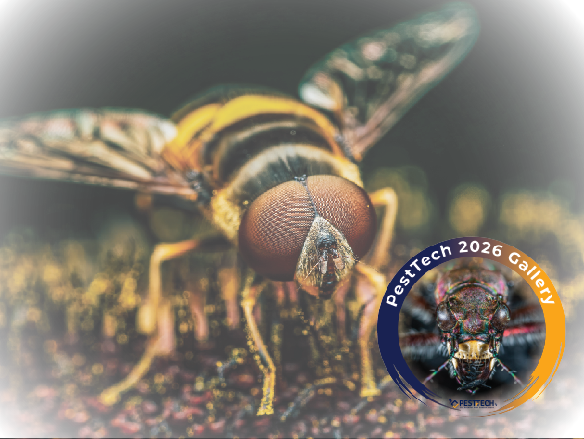 News Feature Images (250×167 px)-Pest Gallery
