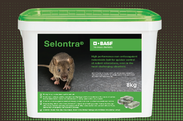 Selontra case study (small)