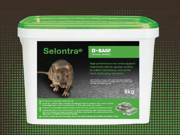 Selontra case study (small)